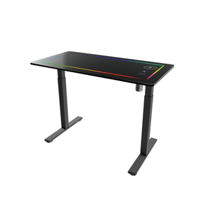 Tempered Glass Electric Standing Desk with Wireless Charging Touch Control Panel